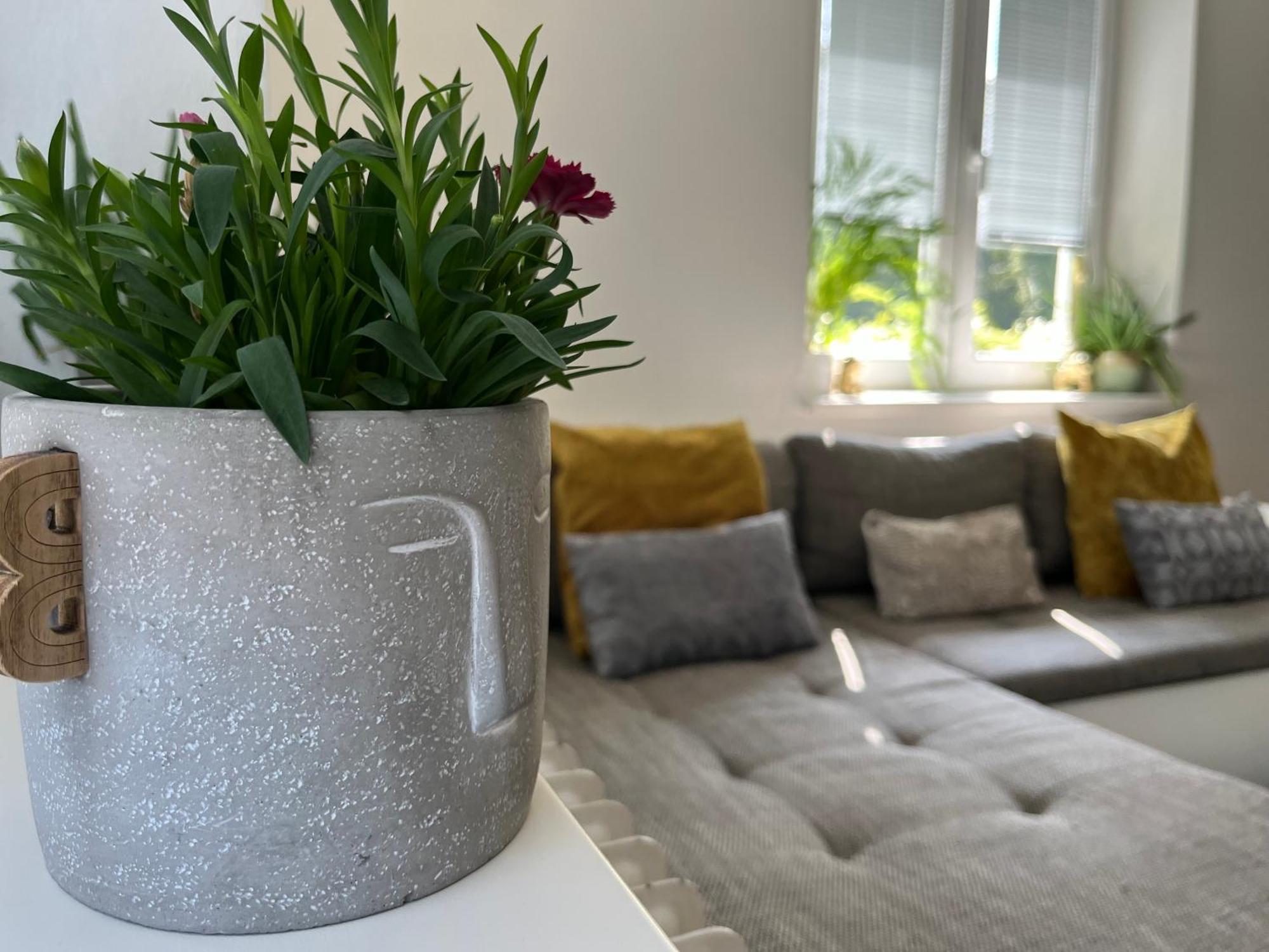 Privat Villa Liptovský Ján Buitenkant foto